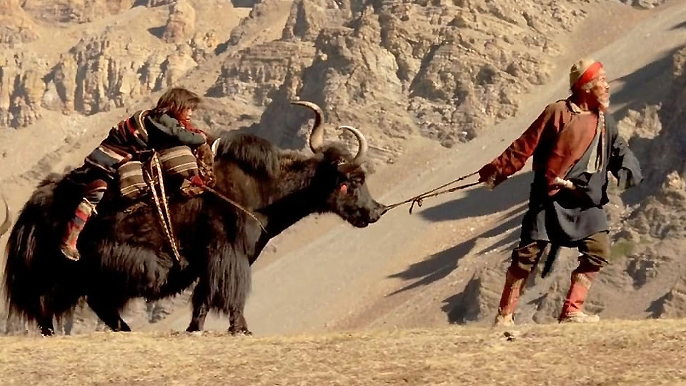 Himalaya - Aus dem Leben eines Karawanenführers